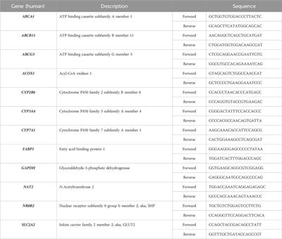 Investigation on regulation of N-acetyltransferase 2 expression by nuclear receptors in human hepatocytes